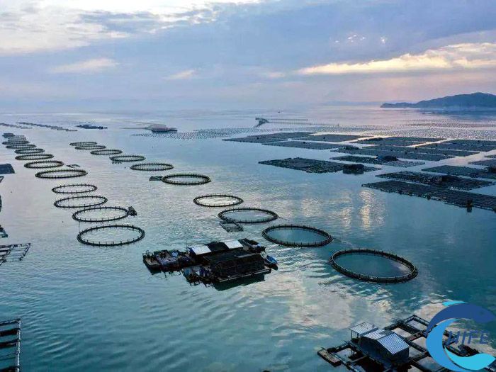2024年海南三亚渔业博览会时间和地点