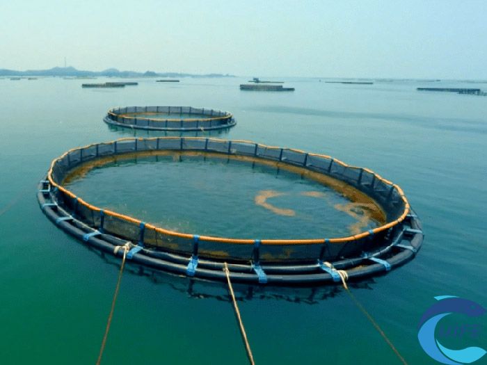 2024海南水产养殖博览会对提升水产养殖业发展有何作用？
