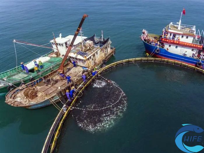 2024海南水产养殖展览会在哪举办，具体时间呢？